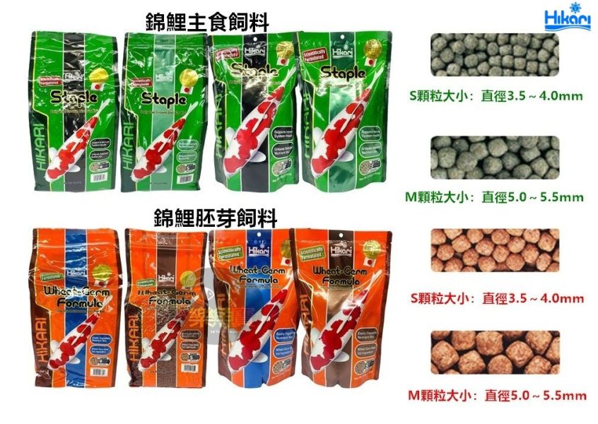 Hikari 高夠力 錦鯉飼料 胚芽 主食 錦鯉金 螺旋藻 錦鯉蠶蛹飼料 鯉魚飼料 龍鯉 (浮水性) 