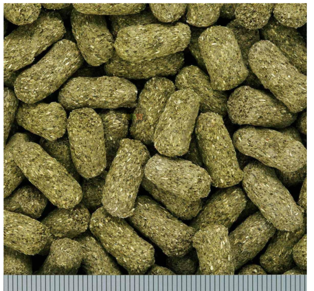 日本 Hikari 高夠力 草食性爬蟲飼料 大粒 550g 陸龜健康蔬菜 草本 高纖 鬣蜥 刺尾蜥 