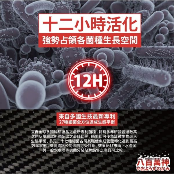 八百萬神 高濃度淡水複合菌 200ML 硝化菌 
