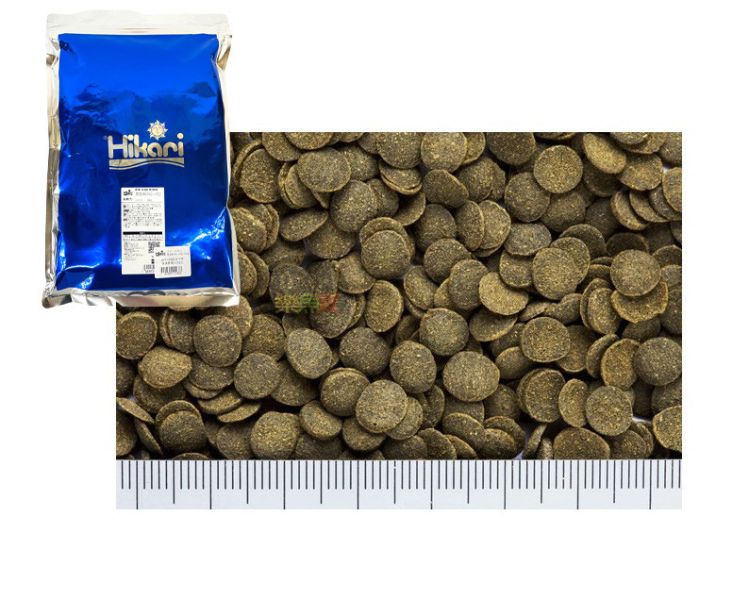 Hikari 高夠力 異型飼料 1KG 底棲飼料 異形飼料 沉水性 底棲魚 