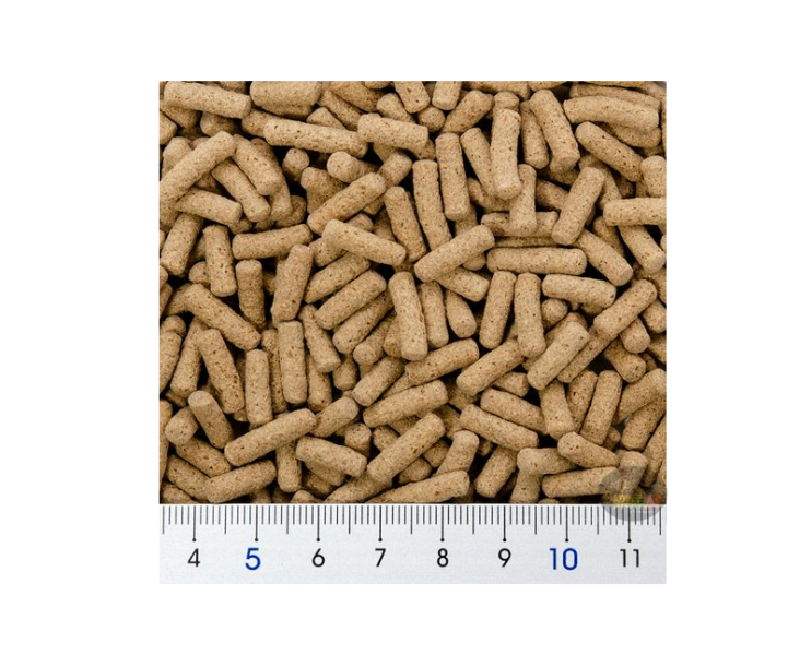 Hikari 高夠力 爬蟲專用顆粒飼料 食蟲性 60g 守宮飼料 豹紋守宮 日本草蜥 箱龜 鬆獅蜥 睫角 