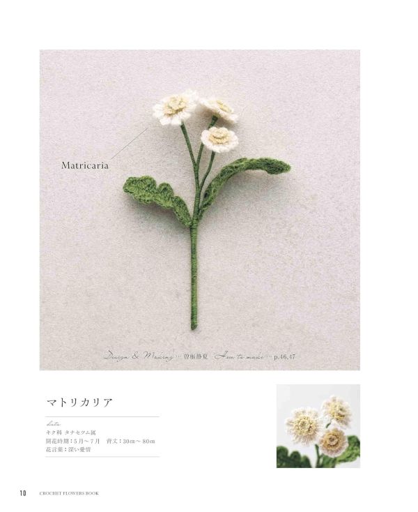 日文編織書 ◍ ECO VITAで編む かぎ針編み 優美な花図鑑 (applemints) 