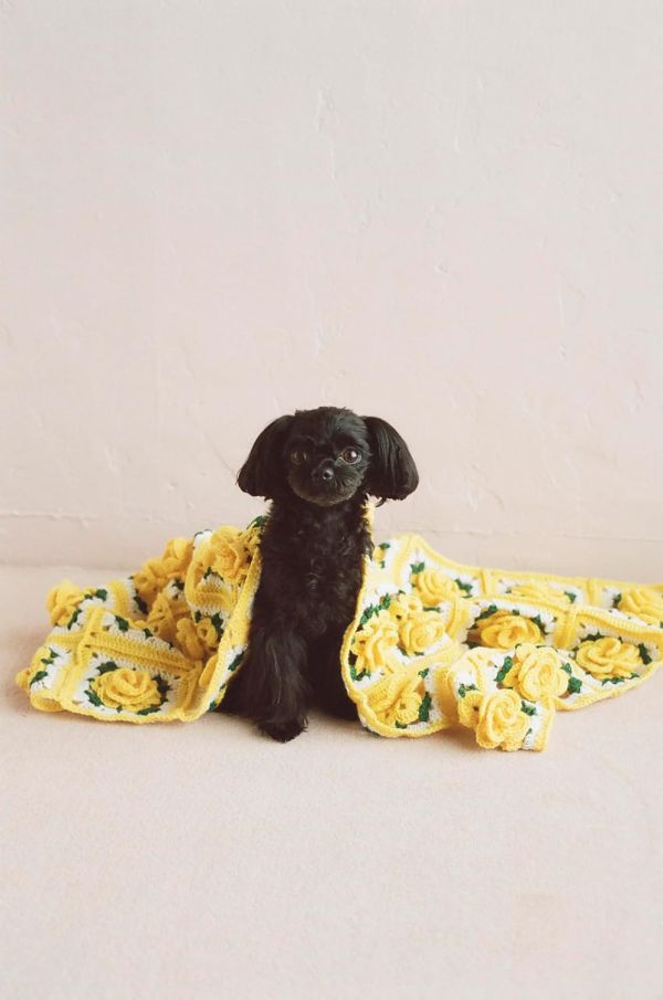 日文編織書 ◍ Ame’s Crochet Book ―Ame LIFE まいにちのかぎ針編み 