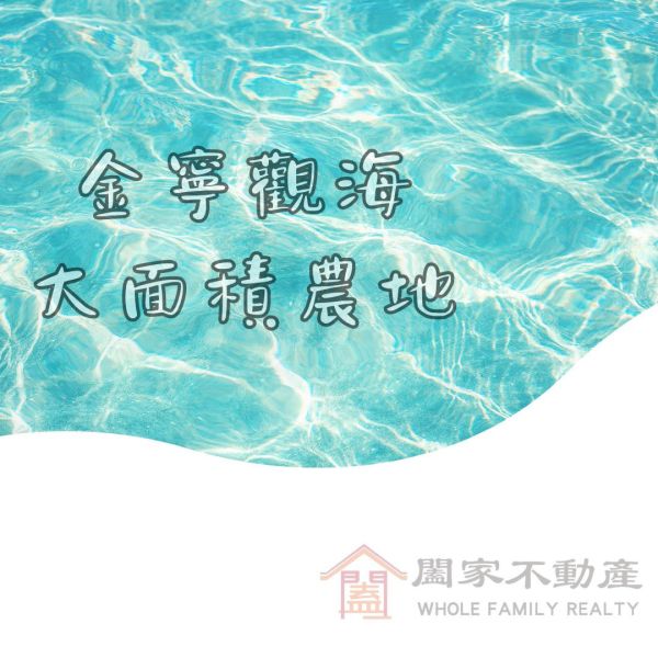 〖金寧觀海大面積農地〗 