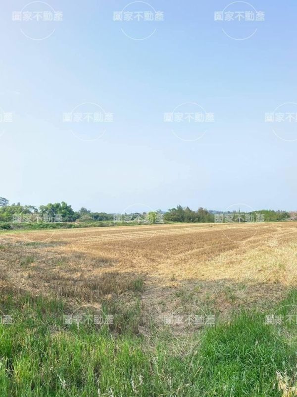 〖金沙高陽路旁美農地〗 