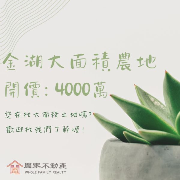 〖金湖大面積農地〗 