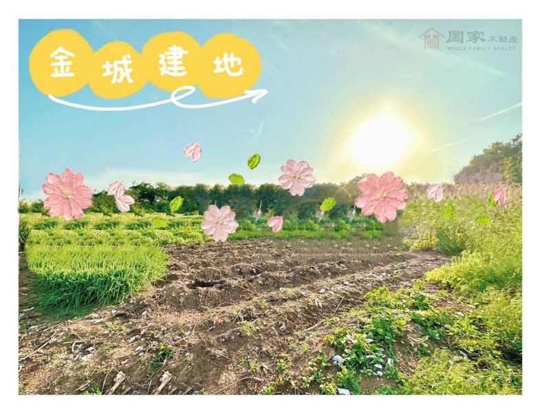 〖稀有金城小建地〗 