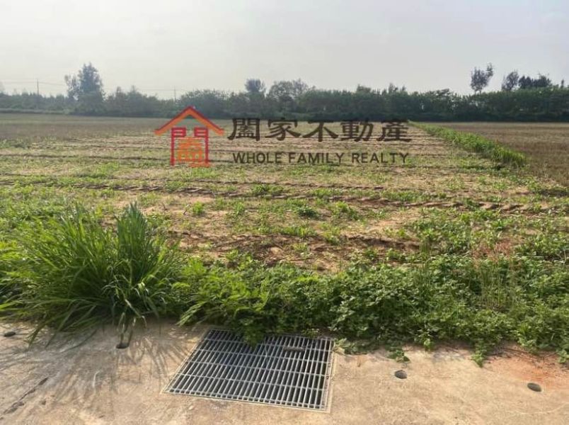 〖金寧大面積農地〗 