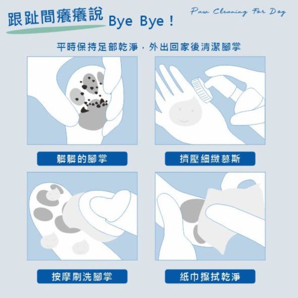 Dirty Dog-趴趴走泡沫潔足樂500ML補充瓶 
