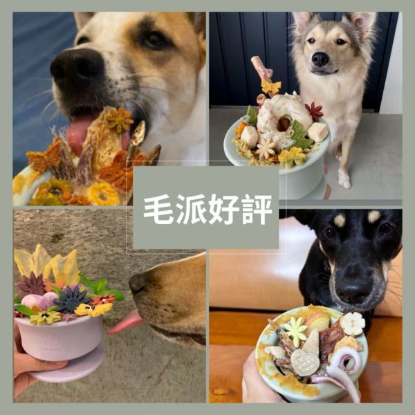 【新加坡 Lunoji】CHEWDEN 舔舔碗 (不含底座）耐冷、延長舔舐、消暑補水、野餐必備 代替 舔食墊 