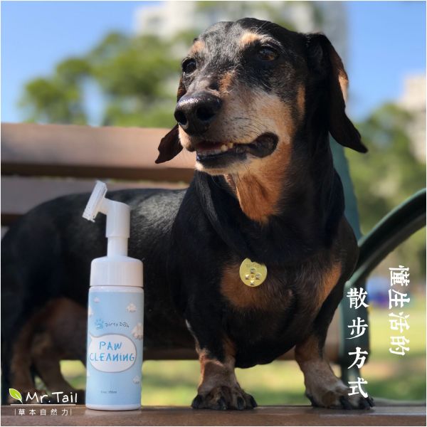 Dirty Dog -趴趴走泡沫潔足樂 快速清潔腳掌 