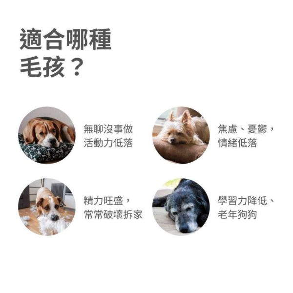 [美國 Puzzle Feeder] 忘憂草藏寶嗅聞墊 336片葉子 Puzzle Grass -犬貓通用 
