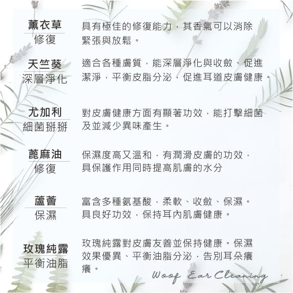 Dirty Dog - 耳根清淨潔耳幕斯(狗) 