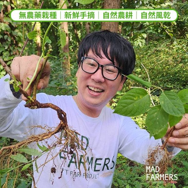 【梅德農夫】韓國無農藥 木天蓼菁華噴霧 │純原液│50ml 