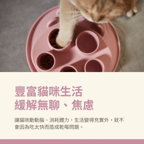 【美國 Puzzle Feeder】犬貓挖掘藏食盤 PUZZLE DIGGER- 滿足貓咪覓食天性 狗狗益智慢食 