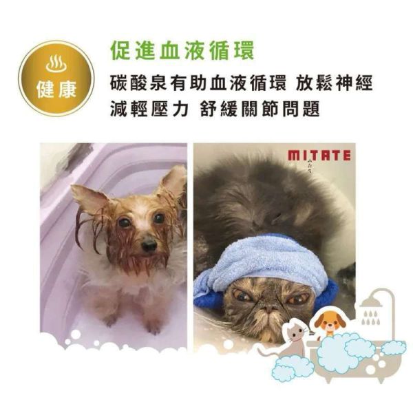 日本MITATE《濃碳酸SPA錠》深層清潔改善皮毛2入 