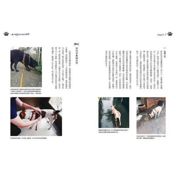 快樂狗兒生活訓練學-跟著專業訓練師這樣教 