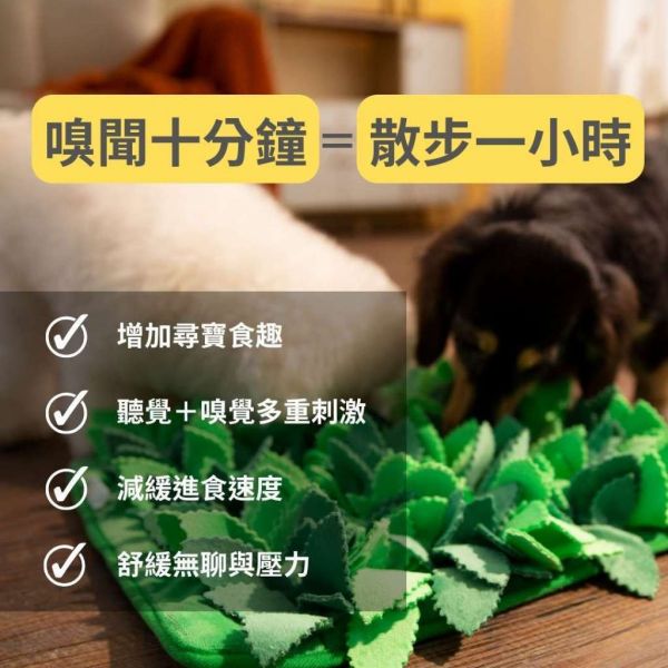 [美國 Puzzle Feeder] 忘憂草藏寶嗅聞墊 336片葉子 Puzzle Grass -犬貓通用 