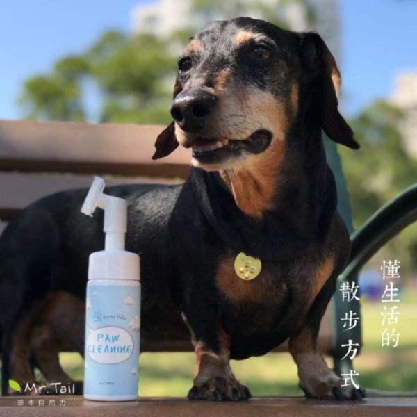 Dirty Dog-趴趴走泡沫潔足樂500ML補充瓶 