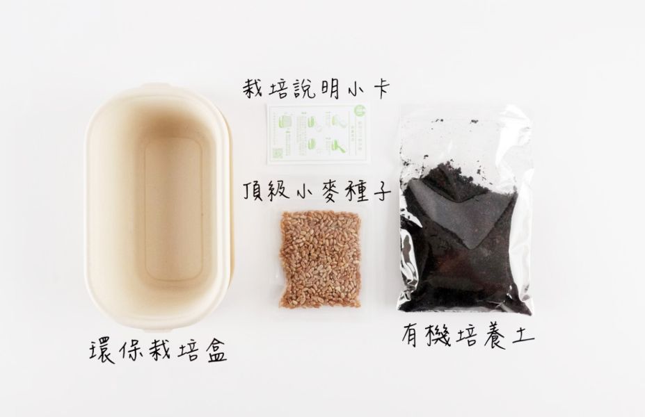 【荳荳多肉】【喵鮮草貓草DIY栽培組-種子加量版】送禮｜升遷｜多肉植物｜植栽 荳荳多肉官方購物車~一律農場價格!!!!
多肉植物 /手作課程 / 園藝雜貨 /戶外教學 /企業合作 / 贈禮小物/婚禮小物
仙人掌,多肉,植物,送禮,婚禮,DIY,禮物