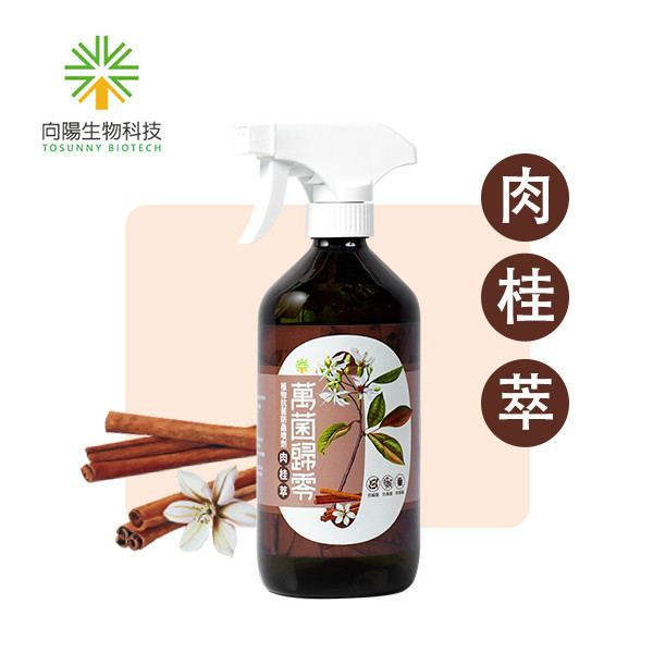 【荳荳多肉】【萬菌歸零-肉桂萃】喬遷｜送禮｜升遷｜多肉植物｜植栽 荳荳多肉官方購物車~一律農場價格!!!!
多肉植物 /手作課程 / 園藝雜貨 /戶外教學 /企業合作 / 贈禮小物/婚禮小物
仙人掌,多肉,植物,送禮,婚禮,DIY,禮物