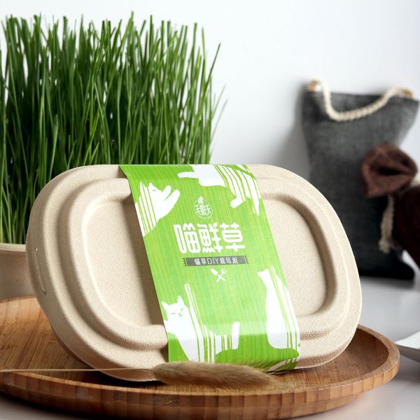 【荳荳多肉】【喵鮮草貓草DIY栽培組-種子加量版】送禮｜升遷｜多肉植物｜植栽 荳荳多肉官方購物車~一律農場價格!!!!
多肉植物 /手作課程 / 園藝雜貨 /戶外教學 /企業合作 / 贈禮小物/婚禮小物
仙人掌,多肉,植物,送禮,婚禮,DIY,禮物