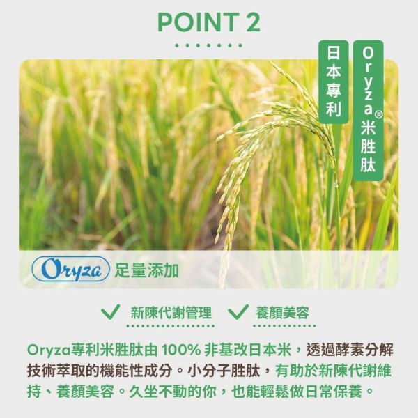 纖盈職人-美妍青纖飲 14包/盒 美妍青纖飲,青汁,日本青汁,青汁飲品,大麥若葉,二条大麥若葉,膳食纖維,神經醯胺,Oryza米胜肽,日本製造,日櫻生機
