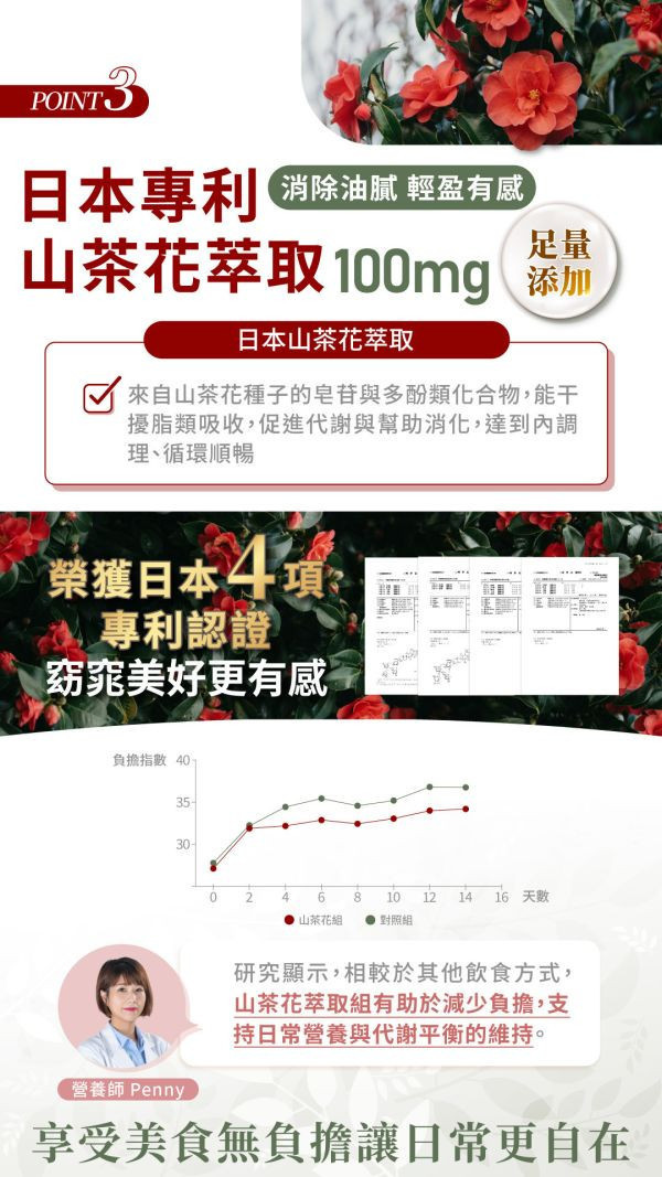 代謝職人-苦瓜美形膠囊60粒/盒｜2入組 苦瓜胜肽 、代謝 保健食品、苦瓜胜肽 血糖、山茶花減 肥、日本減肥保健品、穩糖 產品、降體脂、定序19肽、體重管理、黑松茶花、分解茶