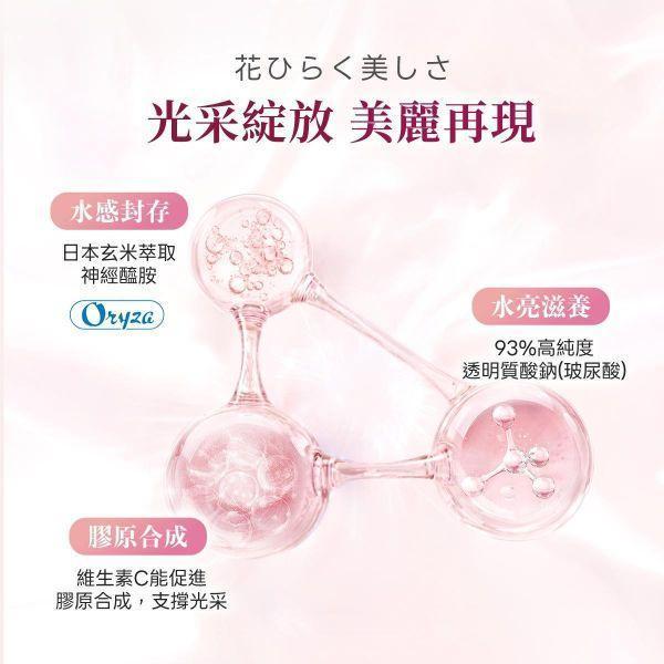 【買3送3｜共6盒】美妍職人-櫻白潤姬美妍精萃 30包/盒｜贈品效期2027/03 櫻白潤姬,膠原蛋白,養顏美容,玻尿酸,神經醯胺,彈性蛋白,維生素C,美妍,櫻花,美顏保健品,美容保健,日本膠原蛋白,美白,抗老,保濕,日櫻生機,北海道鮭魚精華