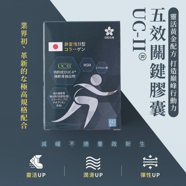 五效關鍵膠囊(UC-II) 60粒/盒｜5入組 五效關鍵,UCII,UC2,UC-II,MSM,行動力,靈活,腳步,葡萄糖胺,軟骨素,潤滑,玻尿酸,蛋白聚醣,鈣,日櫻生機,UCII推薦,UCII功效,關節保養,UCII品牌