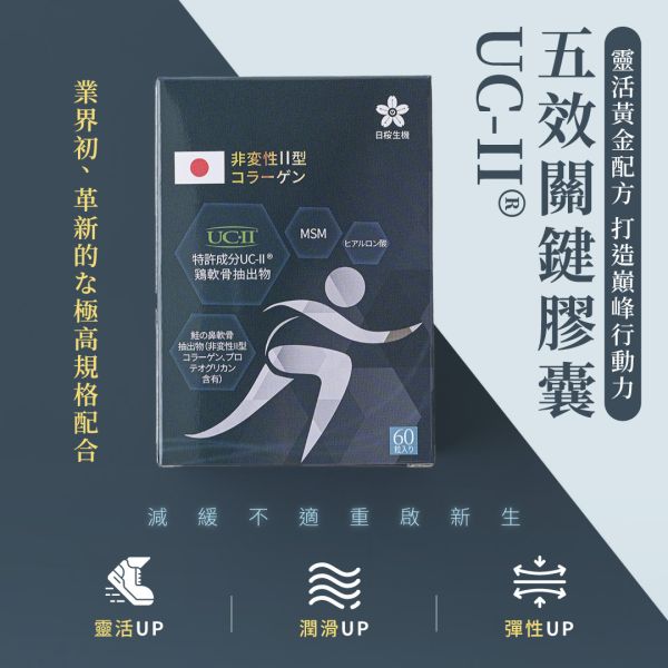 五效關鍵膠囊(UC-II)【60粒/盒】｜單盒即享免運 五效關鍵,UCII,UC2,UC-II,MSM,行動力,靈活,腳步,葡萄糖胺,軟骨素,潤滑,玻尿酸,蛋白聚醣,鈣,日櫻生機,UCII推薦,UCII功效,關節保養,UCII品牌