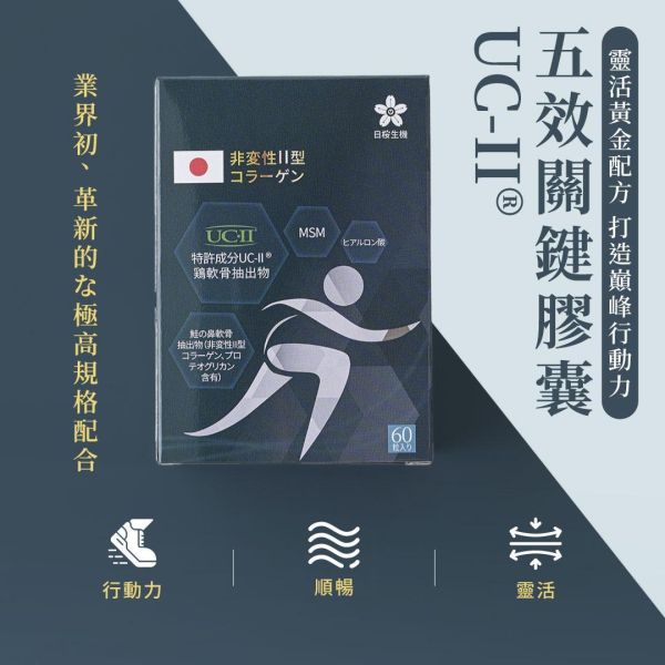 行動職人-五效關鍵膠囊(UC-II®) 60粒/盒 五效關鍵,UCII,UC2,UC-II,MSM,行動力,靈活,腳步,葡萄糖胺,軟骨素,潤滑,玻尿酸,蛋白聚醣,鈣,日櫻生機,UCII推薦,UCII功效,關節保養,UCII品牌,北海道鮭魚精華
