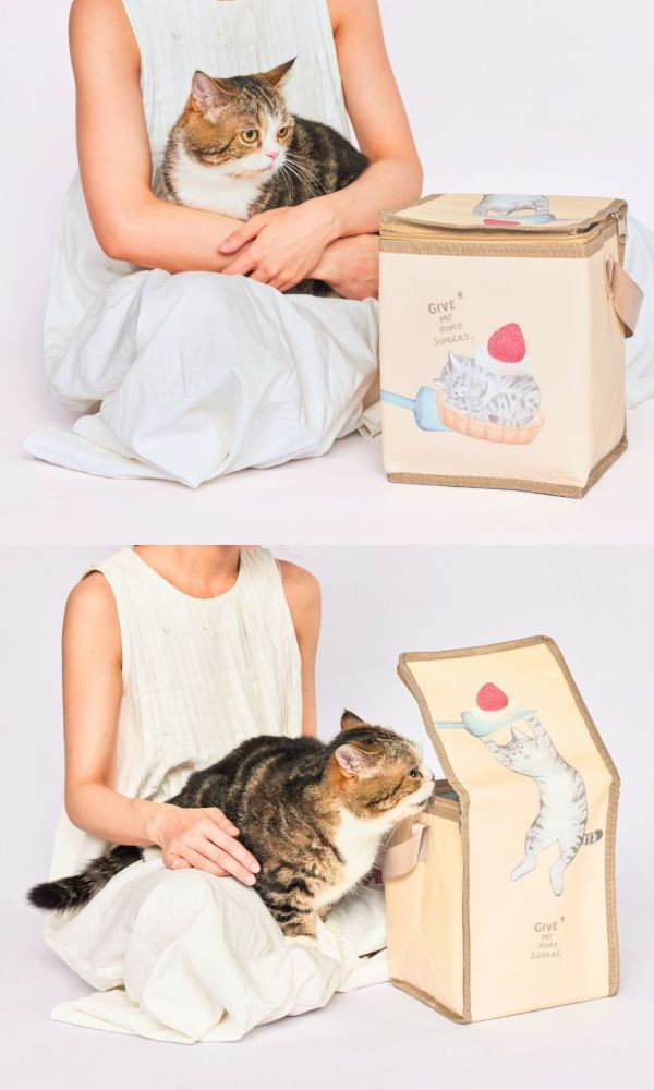 贈品｜2025年最新款保冷袋｜我愛貓 保冷袋,保冷袋推薦,貓咪保冷袋,狗狗保冷袋,可愛保冷袋,甜點保冷袋,保冷袋贈品,保冷袋活動,保冷袋抽獎,保冷袋限量,甜點外帶保冷袋,限量保冷袋推薦,保冷袋週邊,貓派禮物,狗派禮物