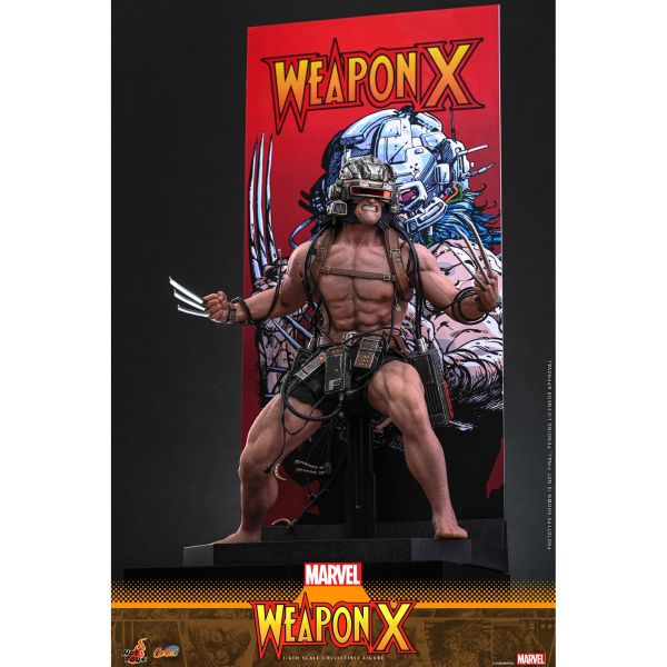 預購免運 HOT TOYS CMS034 漫威漫畫 Weapon X 1/6 金鋼狼 可動人偶,12吋人偶,6吋人偶,模型預購,1/6人偶,1/12人偶,KOF模型王者,HOT TOYS CMS034 漫威漫畫 Weapon X 1/6 金鋼狼,HOT TOYS,HOT TOYS CMS034,HOT TOYS Weapon X,Weapon X 可動人偶,Weapon X 可動模型,Weapon X 1/6人偶,Weapon X 12吋人偶,
