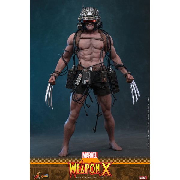 預購免運 HOT TOYS CMS034 漫威漫畫 Weapon X 1/6 金鋼狼 可動人偶,12吋人偶,6吋人偶,模型預購,1/6人偶,1/12人偶,KOF模型王者,HOT TOYS CMS034 漫威漫畫 Weapon X 1/6 金鋼狼,HOT TOYS,HOT TOYS CMS034,HOT TOYS Weapon X,Weapon X 可動人偶,Weapon X 可動模型,Weapon X 1/6人偶,Weapon X 12吋人偶,
