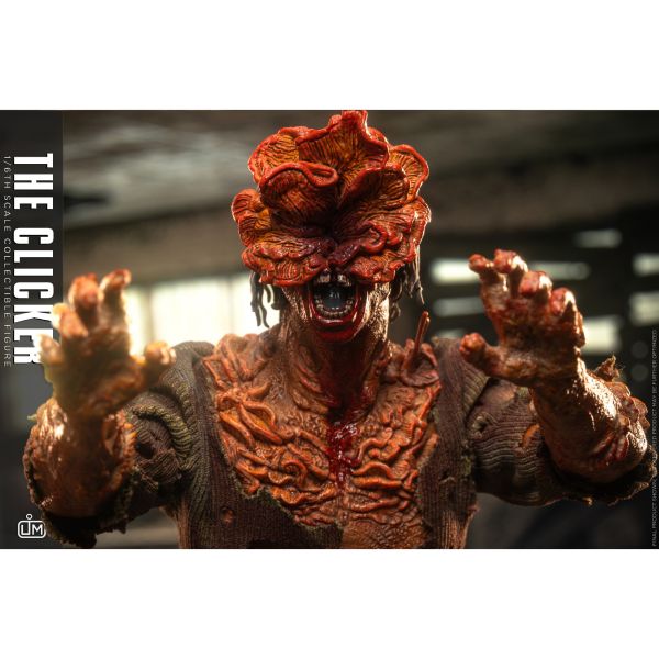 預購 Lim Toys 1/6 LIM013 可動人偶,12吋人偶,6吋人偶,模型預購,1/6人偶,1/12人偶,KOF模型王者,,,,,,,,,,,,,,,,,,,