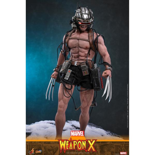 預購免運 HOT TOYS CMS034 漫威漫畫 Weapon X 1/6 金鋼狼 可動人偶,12吋人偶,6吋人偶,模型預購,1/6人偶,1/12人偶,KOF模型王者,HOT TOYS CMS034 漫威漫畫 Weapon X 1/6 金鋼狼,HOT TOYS,HOT TOYS CMS034,HOT TOYS Weapon X,Weapon X 可動人偶,Weapon X 可動模型,Weapon X 1/6人偶,Weapon X 12吋人偶,