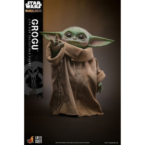 預購免運 HOT TOYS LMS015 《 星際大戰 曼達洛人 》 古古 可動人偶,12吋人偶,6吋人偶,模型預購,1/6人偶,1/12人偶,KOF模型王者,HOT TOYS LMS015 《 星際大戰 曼達洛人 》 古古,HOT TOYS,HOT TOYS LMS015,HOT TOYS 古古,
