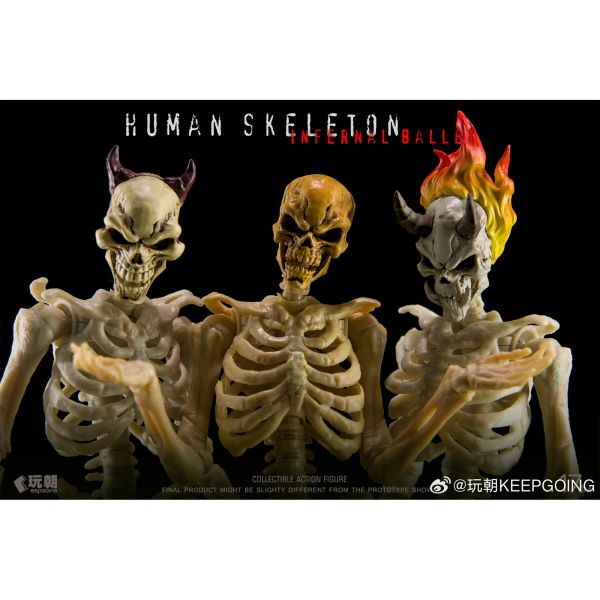 預購免運 玩朝玩具 1/12 超可動素體 《 生物課堂 - 人體骨骼 》 共6款 可動人偶,12吋人偶,6吋人偶,模型預購,1/6人偶,1/12人偶,KOF模型王者,玩朝玩具 1/12 超可動素體 《 生物課堂 - 人體骨骼 》 共6款,玩朝玩具,玩朝玩具 人體骨骼,玩朝玩具 素體,玩朝玩具 可動人偶,玩朝玩具 可動模型,玩朝玩具 1/12人偶,玩朝玩具 6吋人偶,玩朝玩具 6吋素體,玩朝玩具 1/12素體,