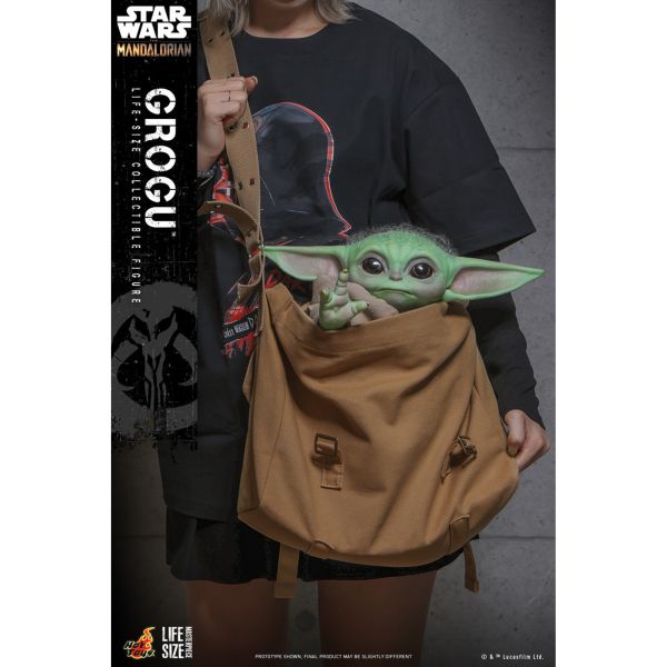 預購免運 HOT TOYS LMS015 《 星際大戰 曼達洛人 》 古古 可動人偶,12吋人偶,6吋人偶,模型預購,1/6人偶,1/12人偶,KOF模型王者,HOT TOYS LMS015 《 星際大戰 曼達洛人 》 古古,HOT TOYS,HOT TOYS LMS015,HOT TOYS 古古,
