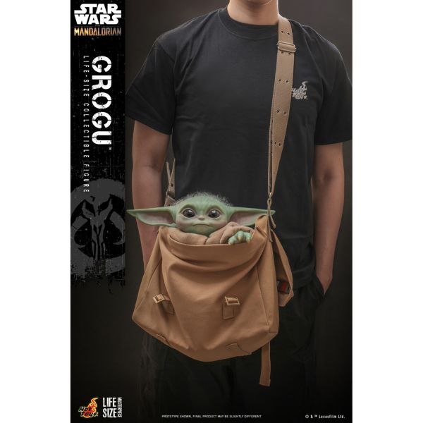 預購免運 HOT TOYS LMS015 《 星際大戰 曼達洛人 》 古古 可動人偶,12吋人偶,6吋人偶,模型預購,1/6人偶,1/12人偶,KOF模型王者,HOT TOYS LMS015 《 星際大戰 曼達洛人 》 古古,HOT TOYS,HOT TOYS LMS015,HOT TOYS 古古,