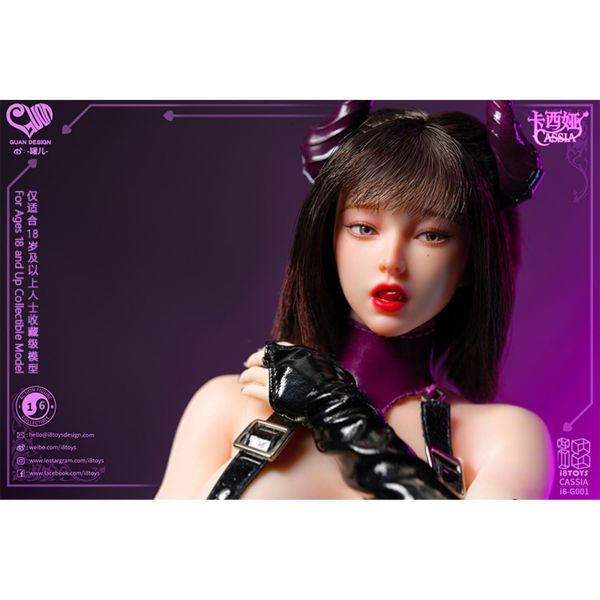 預購免運 I8TOYS × 罐 1/6 可動眼 卡西亞·紫裔魅魔 i8-G001 可動人偶,12吋人偶,6吋人偶,模型預購,1/6人偶,1/12人偶,KOF模型王者,I8TOYS × 罐 1/6 可動眼 卡西亞·紫裔魅魔 i8-G001,I8TOYS,I8TOYS 卡西亞,I8TOYS 紫裔魅魔,i8-G001,I8TOYS 可動人偶,I8TOYS 可動模型,I8TOYS 1/6人偶,I8TOYS 12吋人偶,