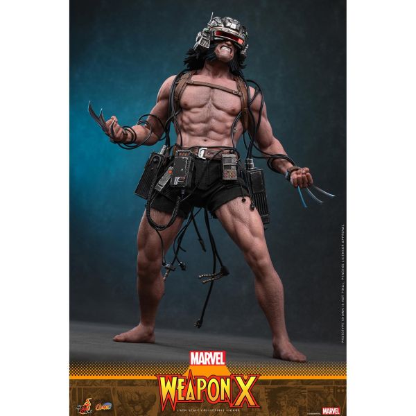 預購免運 HOT TOYS CMS034 漫威漫畫 Weapon X 1/6 金鋼狼 可動人偶,12吋人偶,6吋人偶,模型預購,1/6人偶,1/12人偶,KOF模型王者,HOT TOYS CMS034 漫威漫畫 Weapon X 1/6 金鋼狼,HOT TOYS,HOT TOYS CMS034,HOT TOYS Weapon X,Weapon X 可動人偶,Weapon X 可動模型,Weapon X 1/6人偶,Weapon X 12吋人偶,