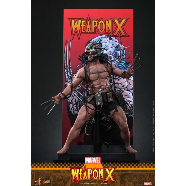預購免運 HOT TOYS CMS034 漫威漫畫 Weapon X 1/6 金鋼狼 可動人偶,12吋人偶,6吋人偶,模型預購,1/6人偶,1/12人偶,KOF模型王者,HOT TOYS CMS034 漫威漫畫 Weapon X 1/6 金鋼狼,HOT TOYS,HOT TOYS CMS034,HOT TOYS Weapon X,Weapon X 可動人偶,Weapon X 可動模型,Weapon X 1/6人偶,Weapon X 12吋人偶,
