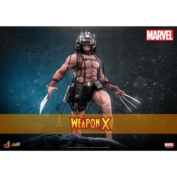 預購免運 HOT TOYS CMS034 漫威漫畫 Weapon X 1/6 金鋼狼 可動人偶,12吋人偶,6吋人偶,模型預購,1/6人偶,1/12人偶,KOF模型王者,HOT TOYS CMS034 漫威漫畫 Weapon X 1/6 金鋼狼,HOT TOYS,HOT TOYS CMS034,HOT TOYS Weapon X,Weapon X 可動人偶,Weapon X 可動模型,Weapon X 1/6人偶,Weapon X 12吋人偶,