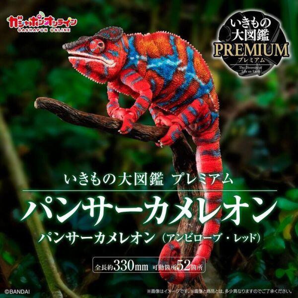 生物大圖鑑premium 七彩變色龍 安比諾貝 紅 代理 預購24年12月0923 