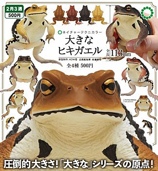 500円カプセル ネイチャーテクニカラー 大きなヒキガエル 1袋20入 預購26年02月1103 