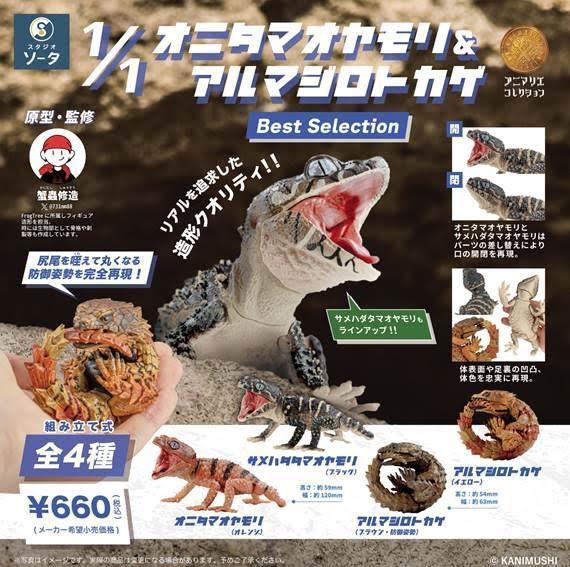 1/1オニタマオヤモリ&アルマジロトカゲ Best Selection 1中盒4入 預購26年08月0508 