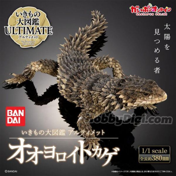 BANDAI 盒玩 生物大圖鑑 巨型環尾蜥 預購25年11月0818 