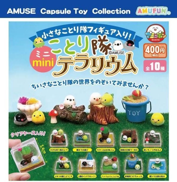 400円カプセル ことり隊ミニテラリウム 扭蛋30入 預購26年10月0708 